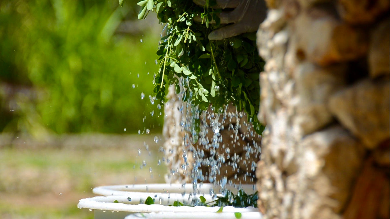 COMPRIMES me™ de pure poudre de moringa bio