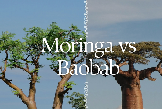 Moringa ou Baobab : quel superaliment choisir ?