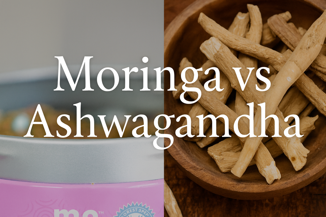 Moringa vs Ashwagandha : duel ou duo ?