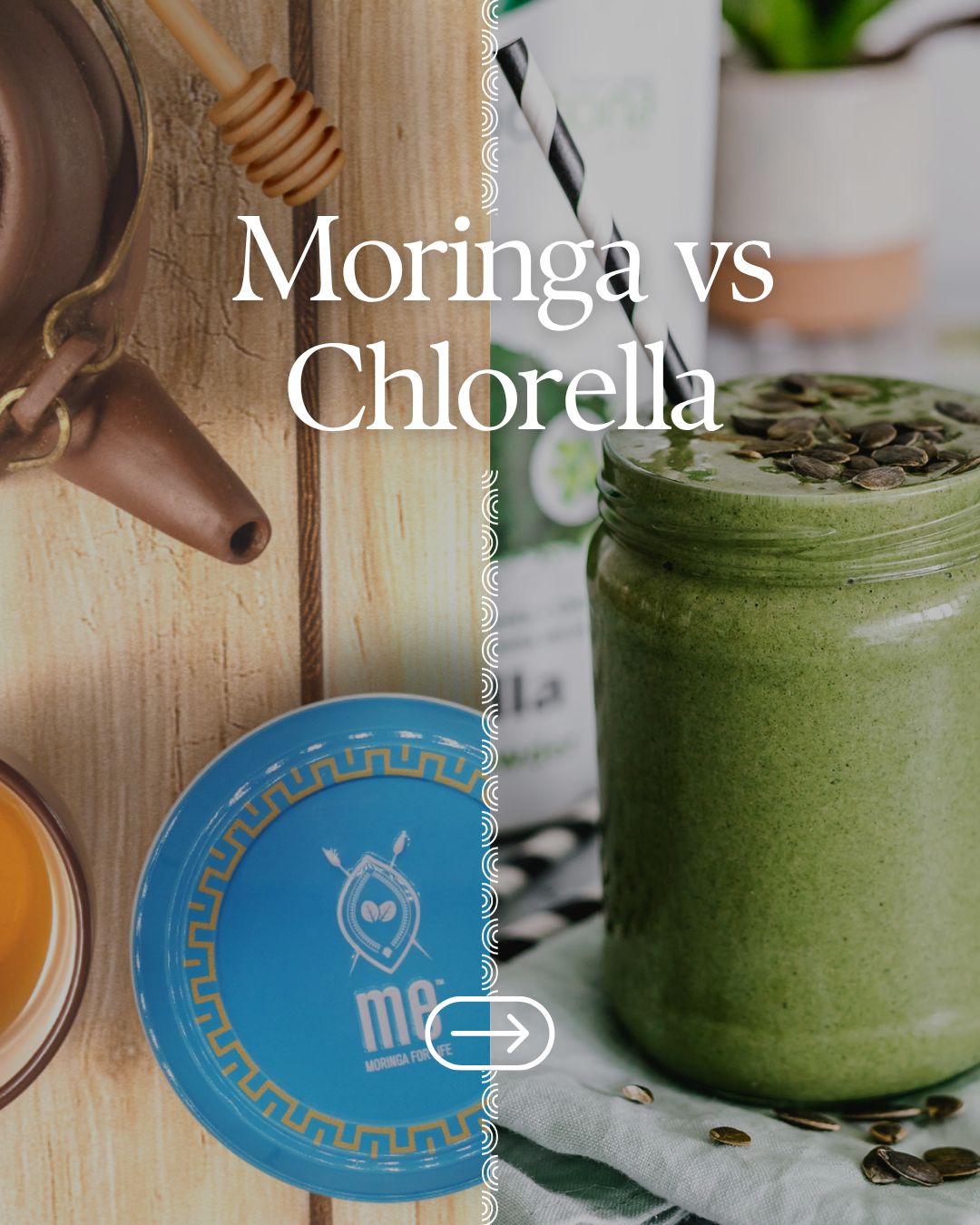 Moringa vs Chlorella : Deux super-aliments aux multiples vertus