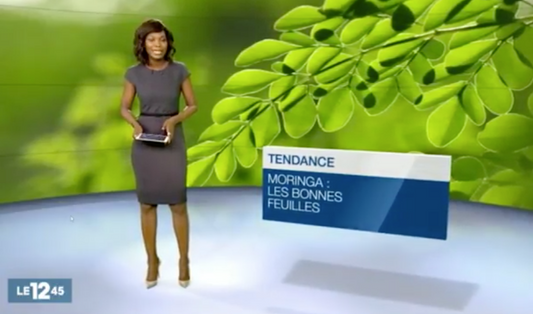 M6 Moringa les bonnes feuilles