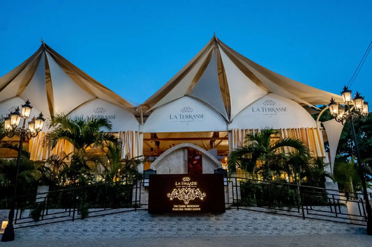 Moringa : pourquoi son origine au Kenya fait toute la différence ?